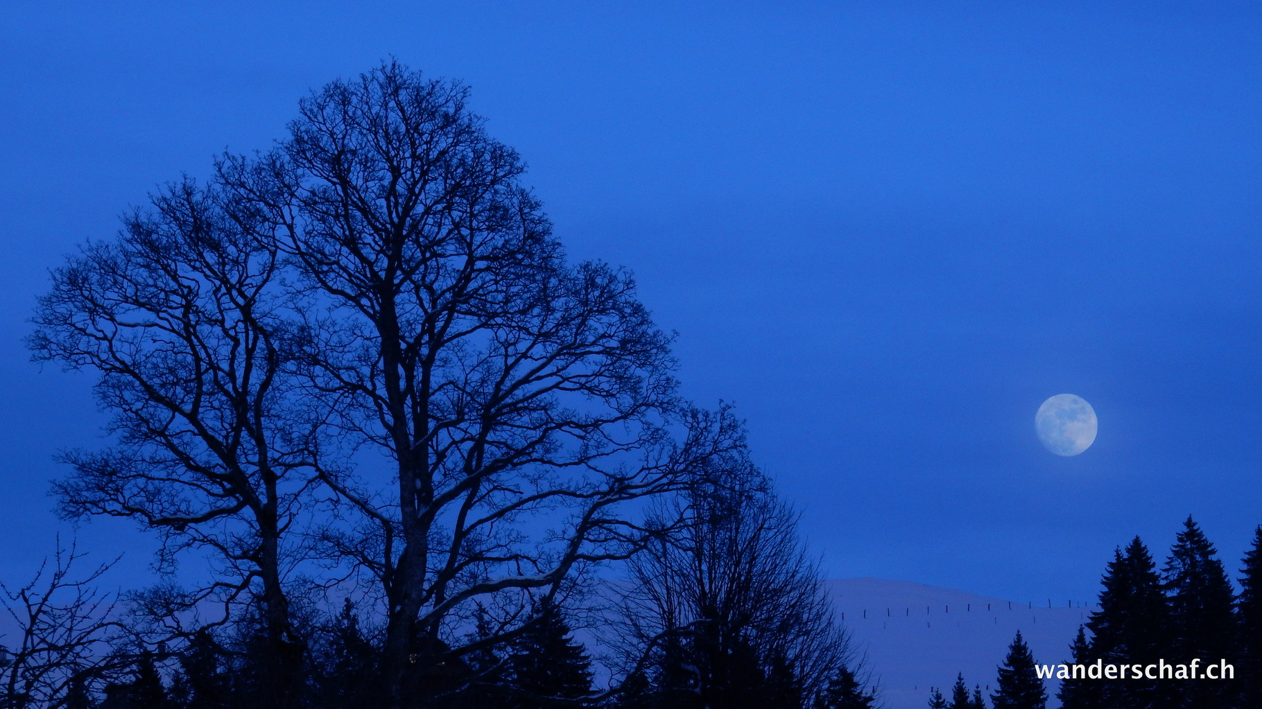wunderschöne Mondschein-Stimmung