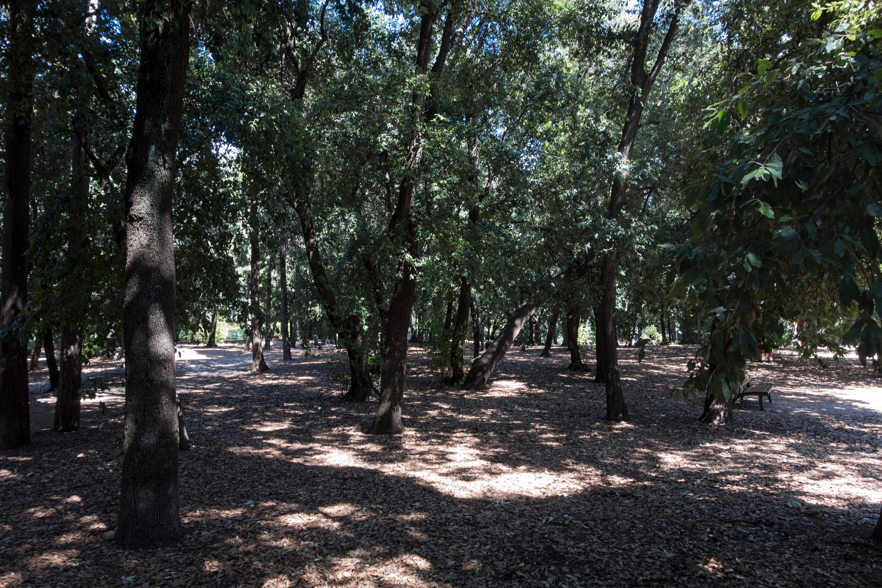 Klostergarten  Cimiez