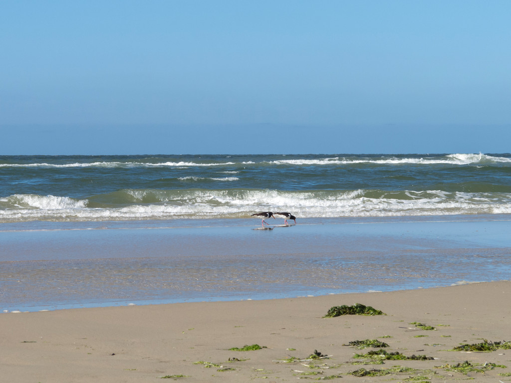 Strand abseits der Promenade