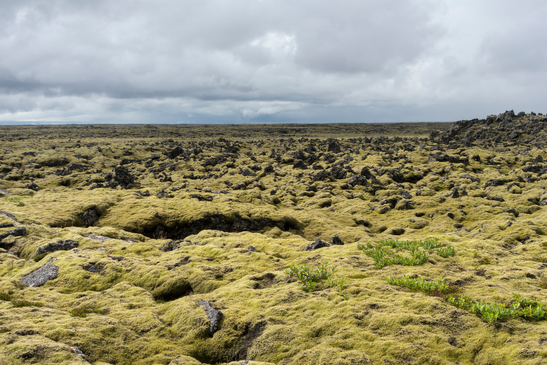 Landschaft auf der Halbinsel Reykjanes