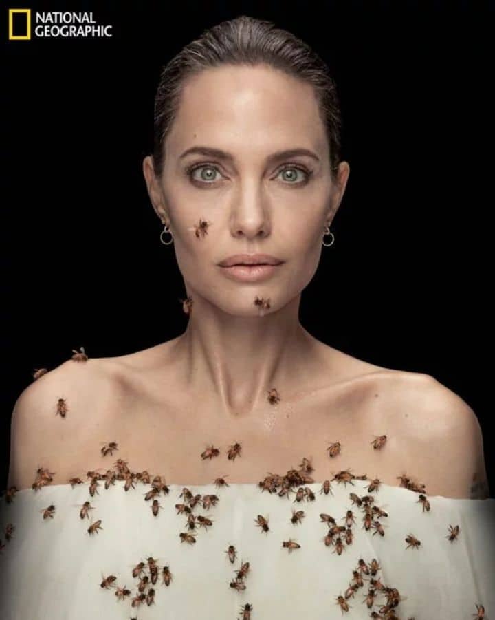 Angelina Jolie engagiert sich zum Weltbienentag 2021