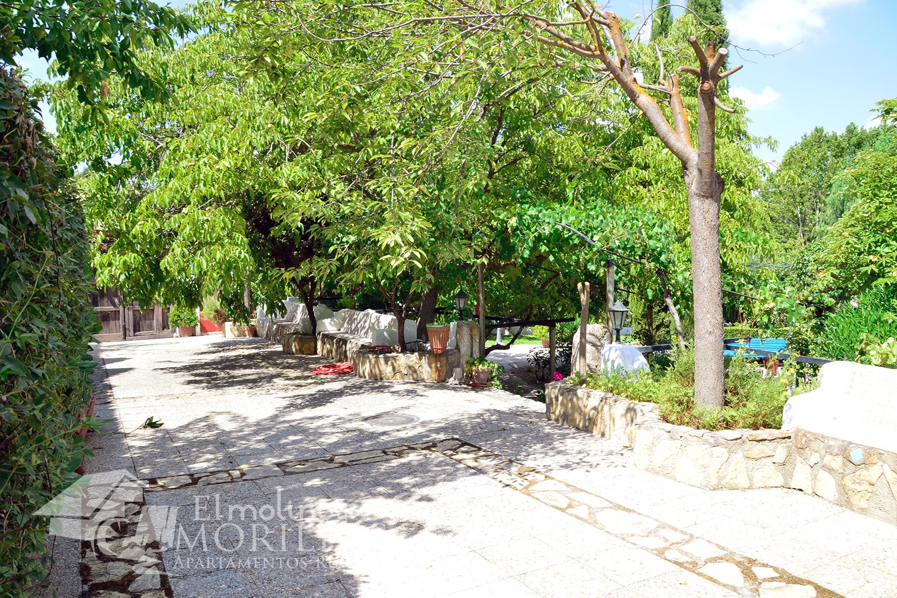 Zonas ajardinadas exteriores