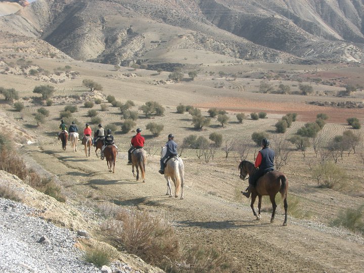 Turismo activo en el Altiplano de Granada: Paseos a caballo por las sierras y badlands