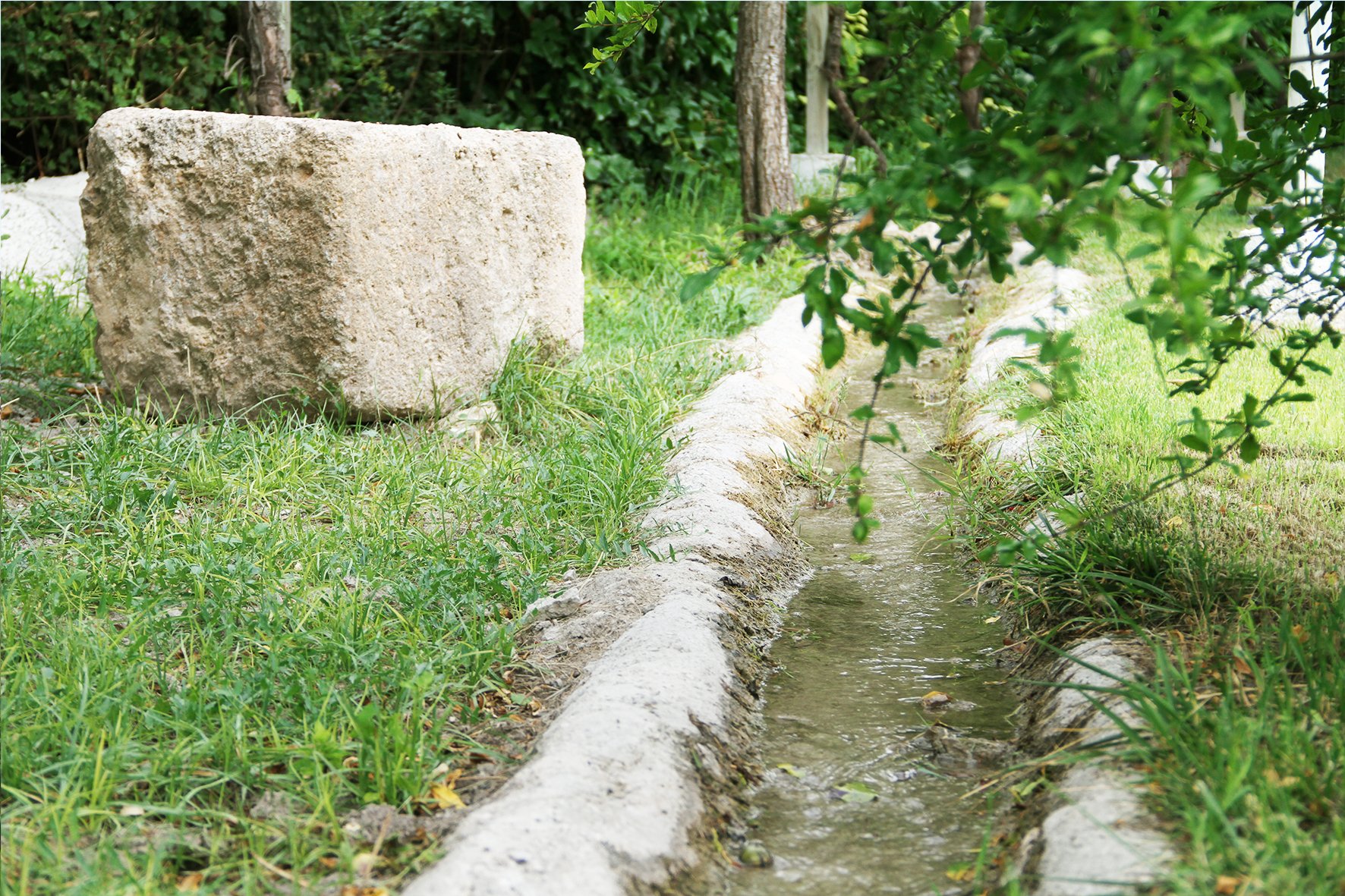 Riachuelos y acequias naturales en las zonas ajardinadas exteriores