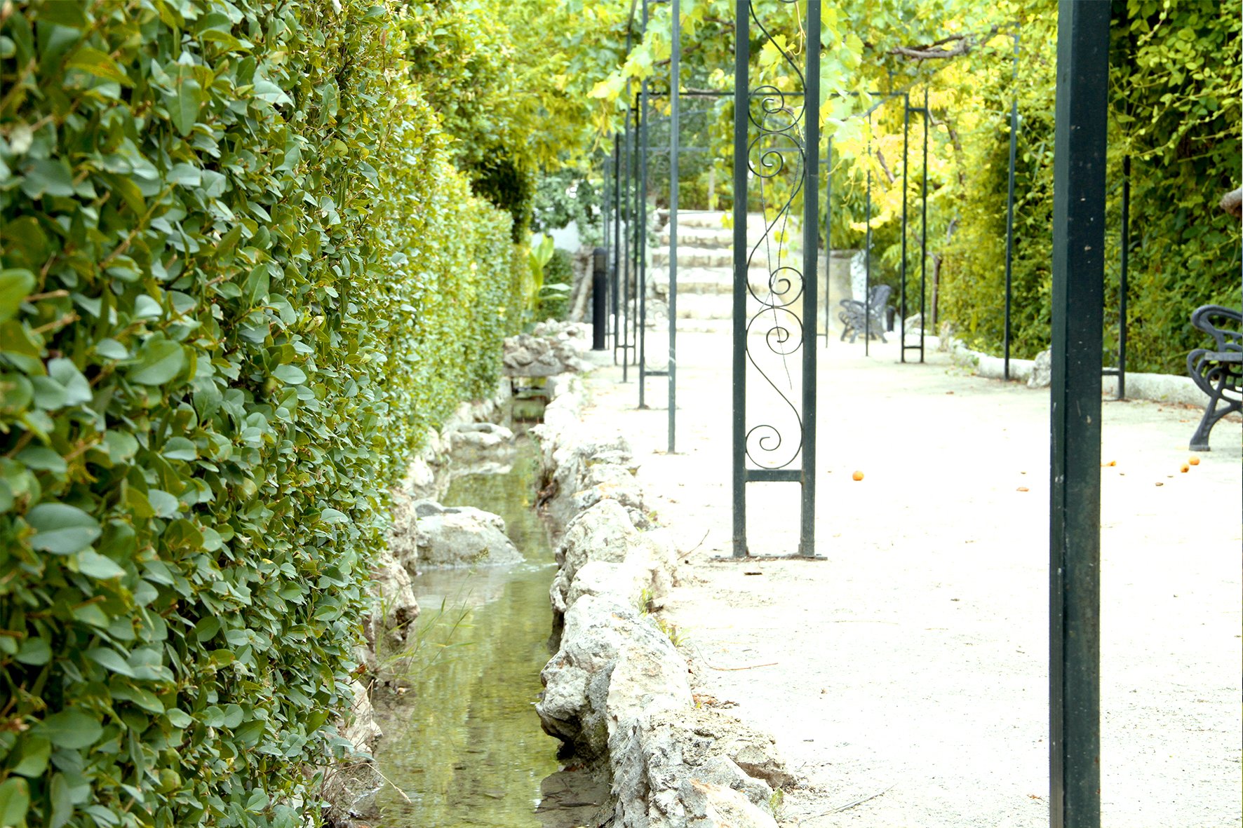 Riachuelos y acequias naturales en las zonas ajardinadas exteriores