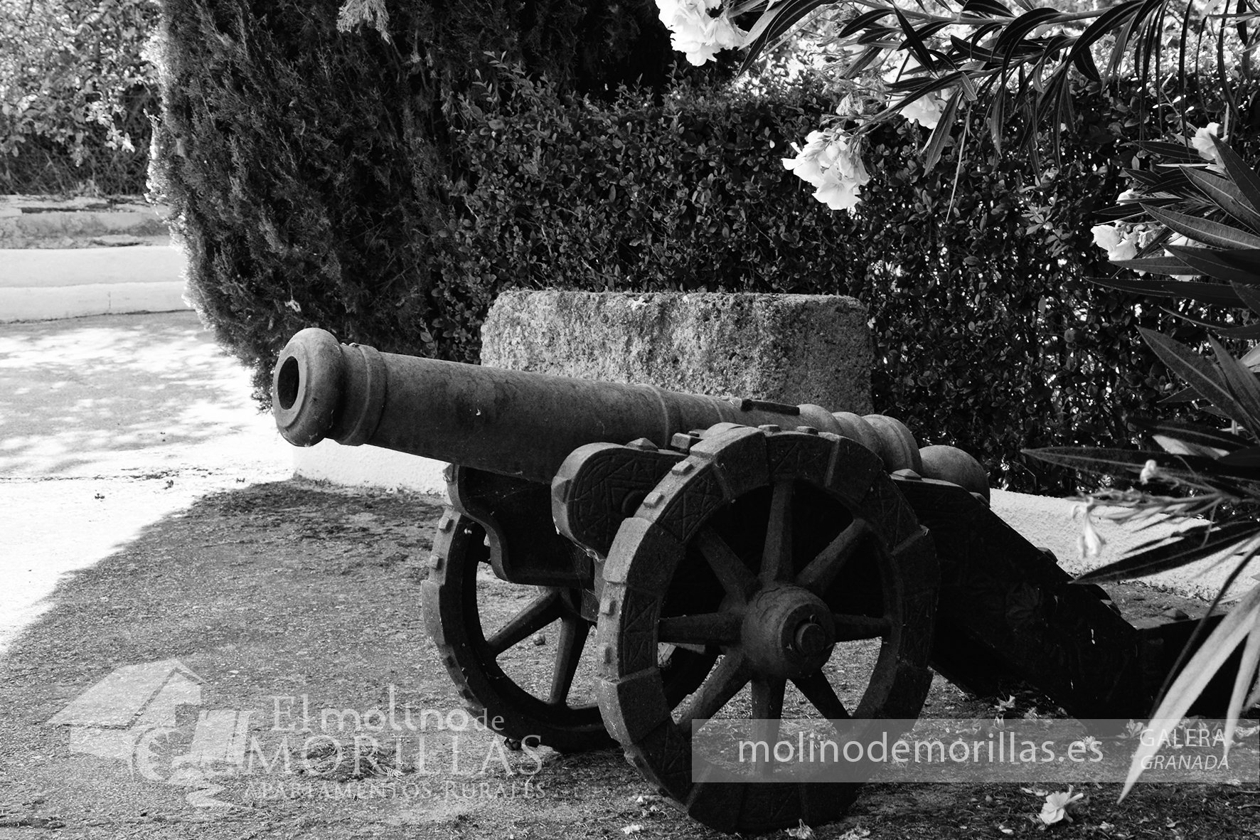 Detalles que marcaron la historia