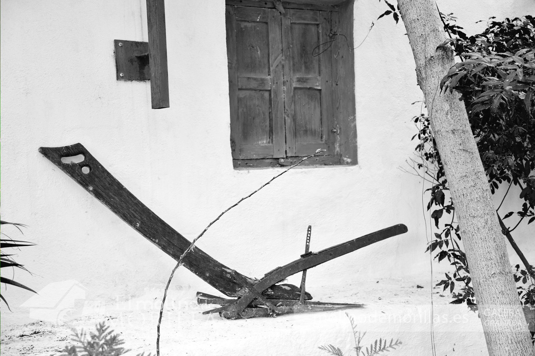 Ornamentación antigua: herramienta de agricultura