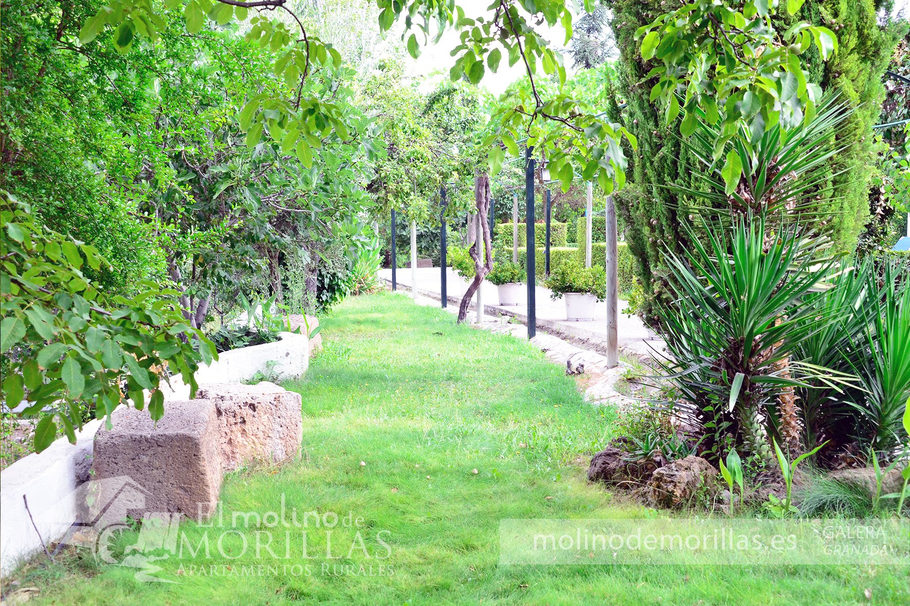 Zonas ajardinadas exteriores