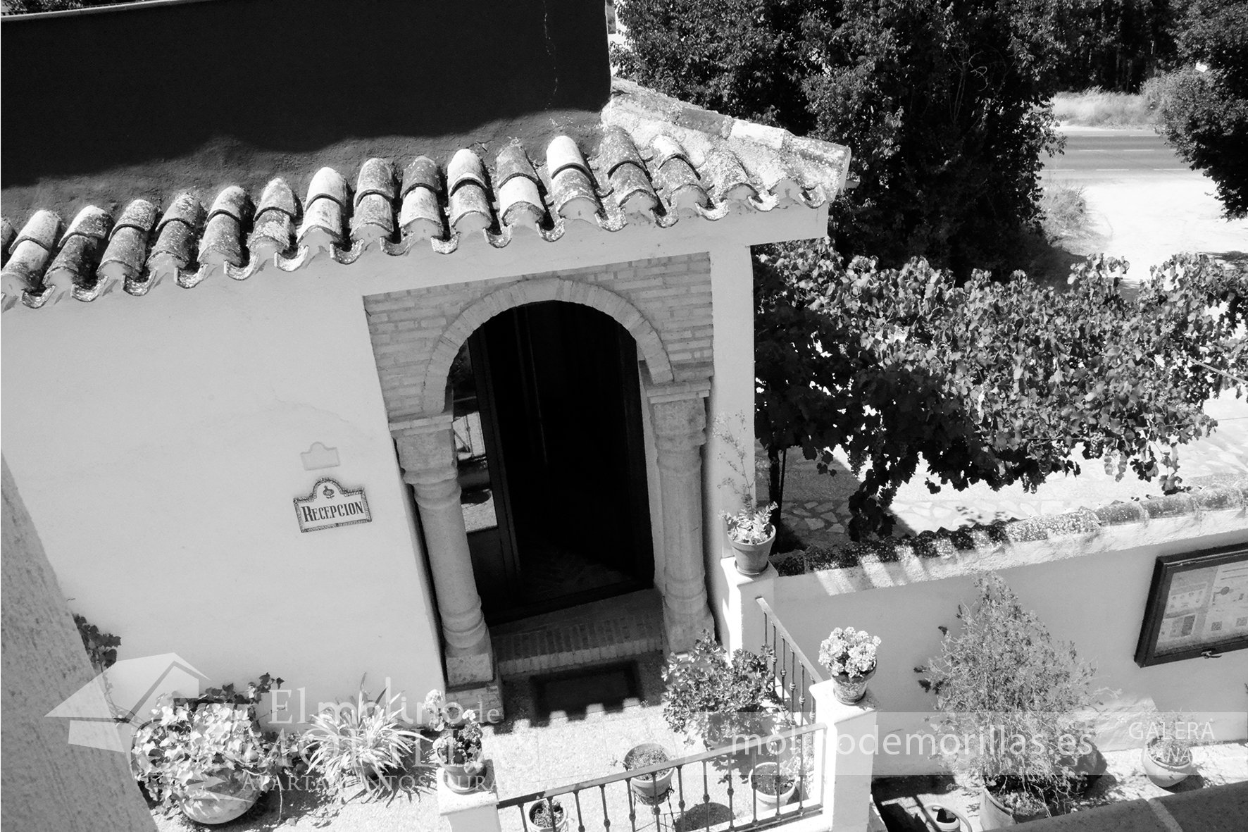 Servicio de recepción y atención al cliente