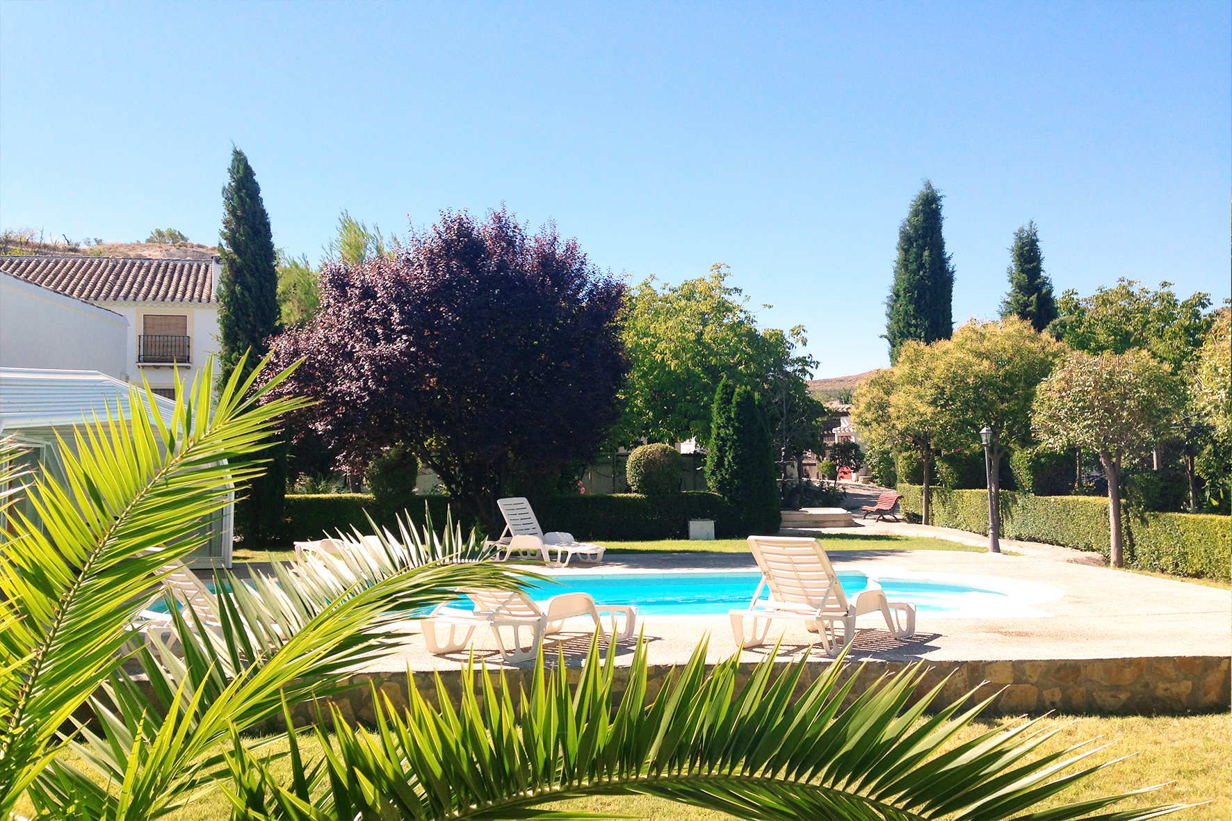 Piscina de verano rodeada de zonas verdes