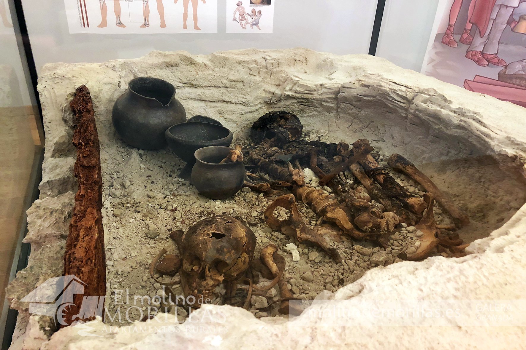 Restos de la Momia de Galera conservados en el Museo