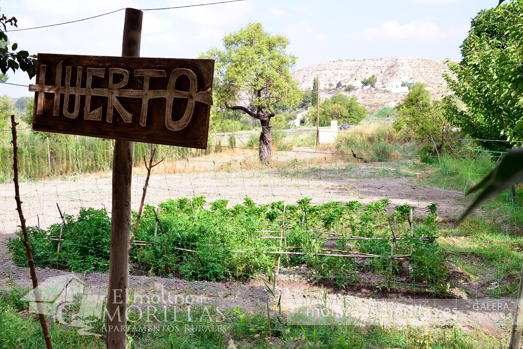 Huerto ecológico estacional