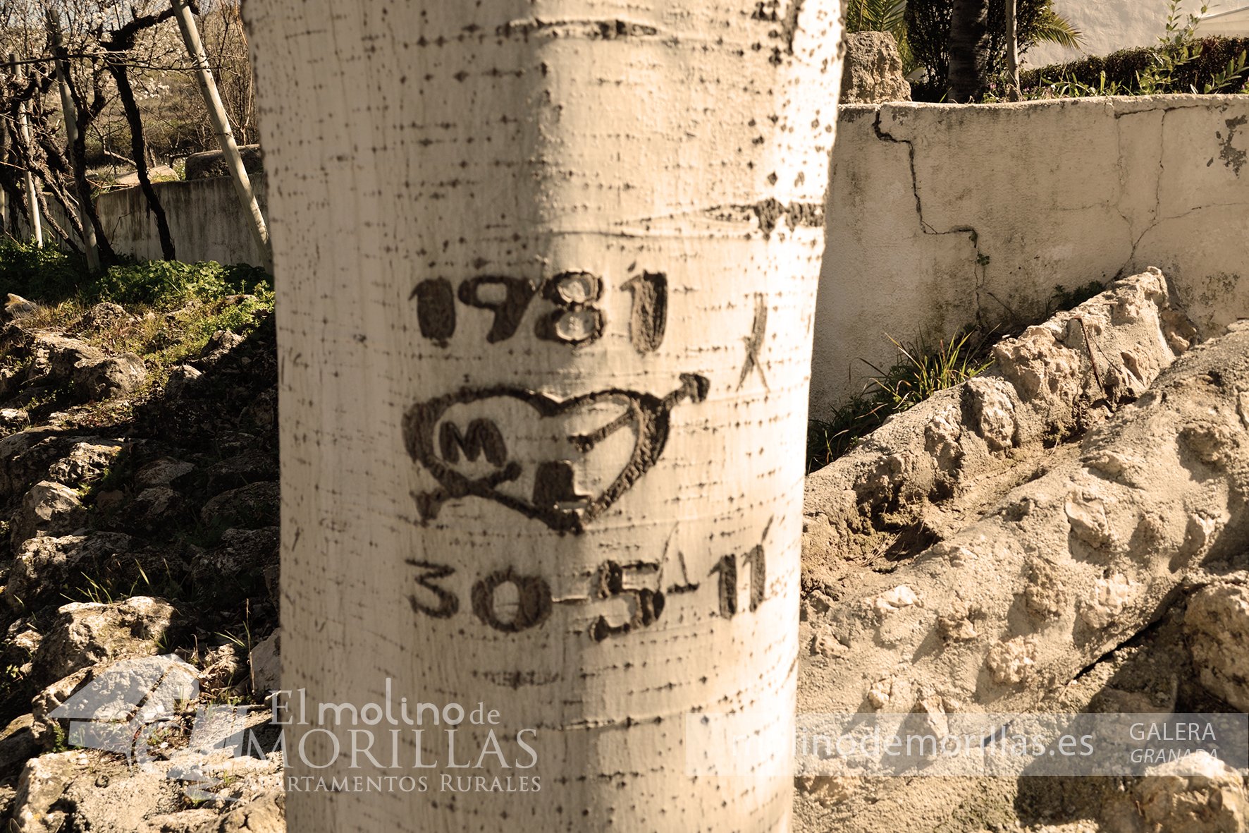 Recuerdos para siempre permanecerán en nuestros jardines