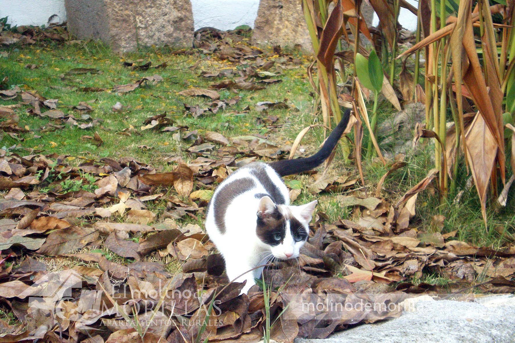 Algunos cuidadores del jardín