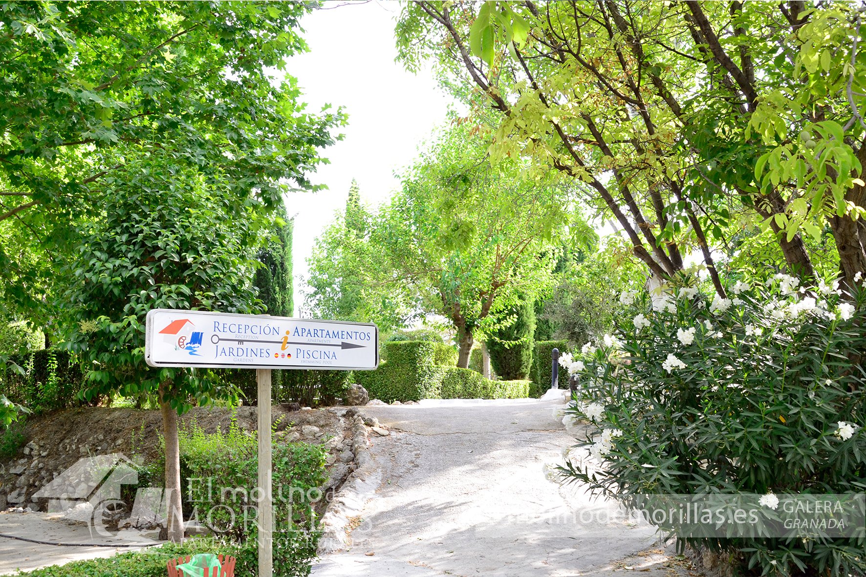 Zonas ajardinadas exteriores