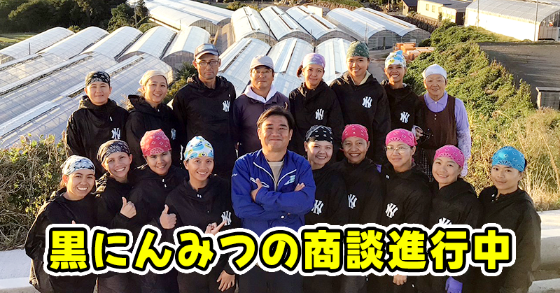 【黒にんみつ】商談進行中
