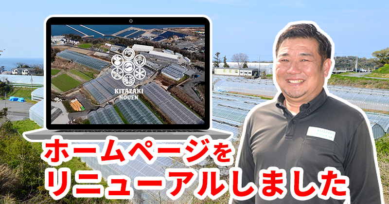 ホームページリニューアルのご報告