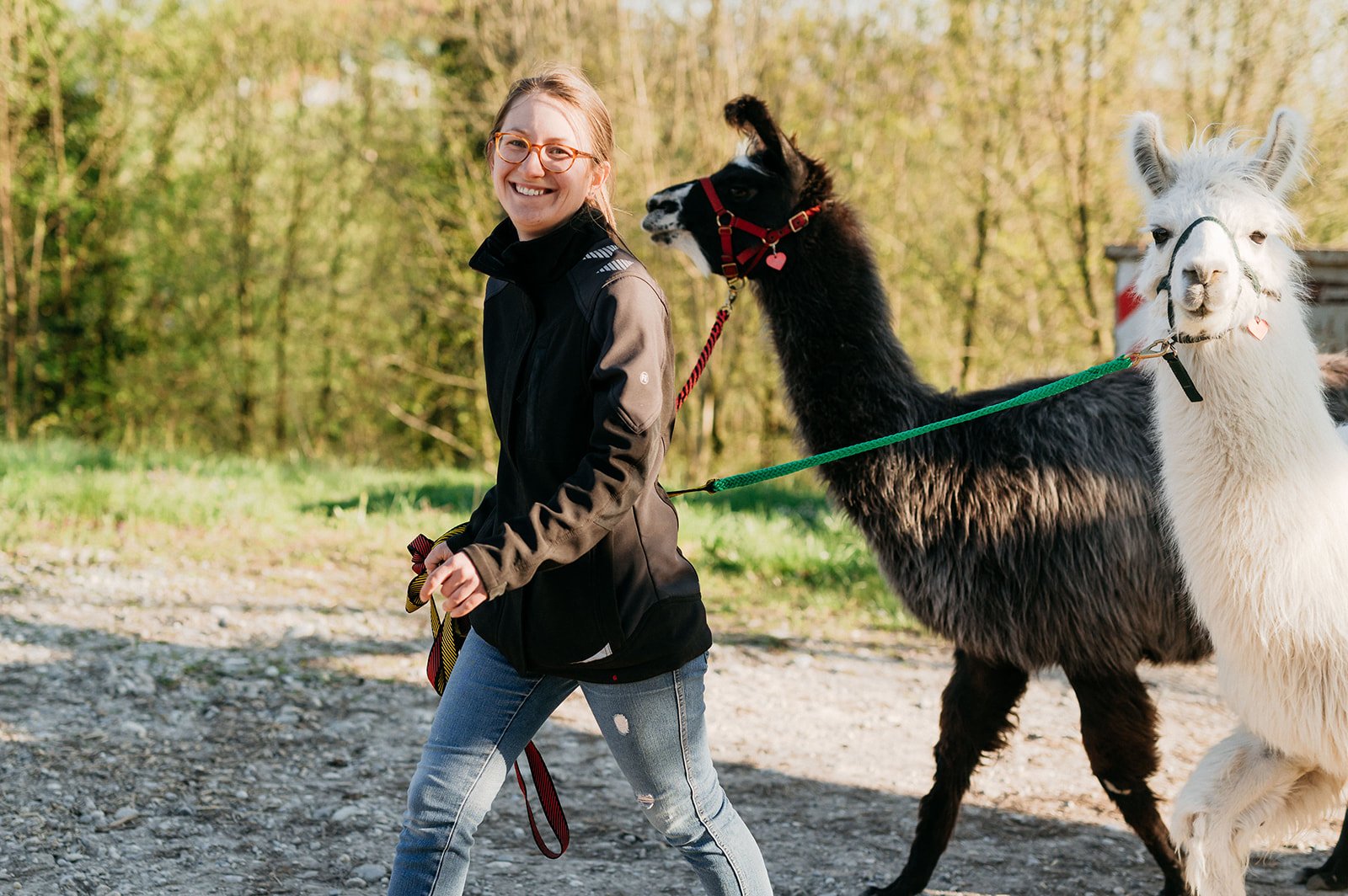 Junior Chefin Christine mit Lama hat Spaß auf der Arbeit am Pointnerhof