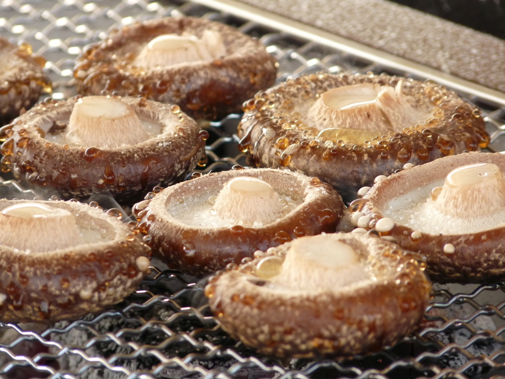 焼いて塩だけで絶品！看板の「長生き椎茸」