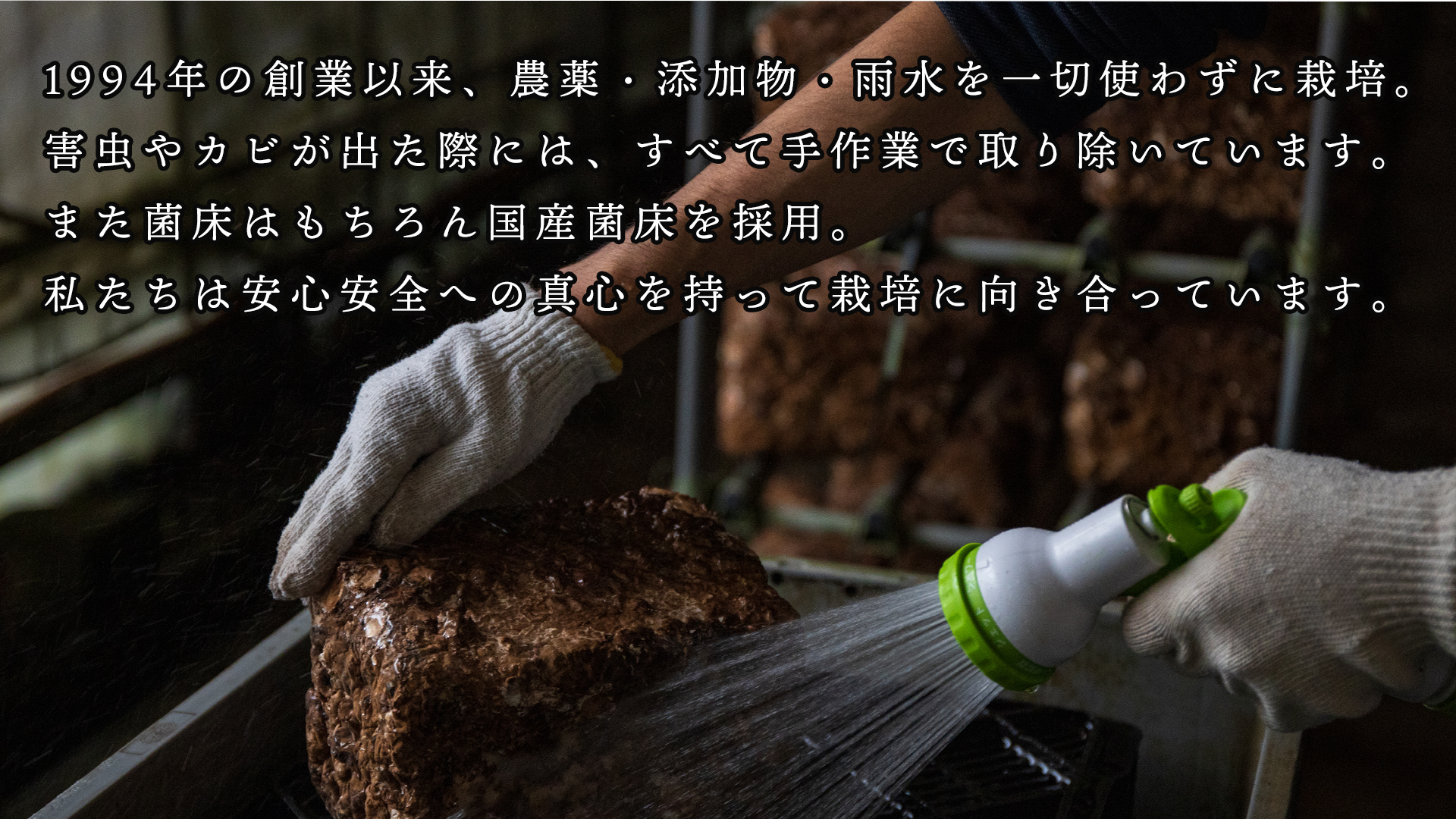 無農薬無添加で栽培