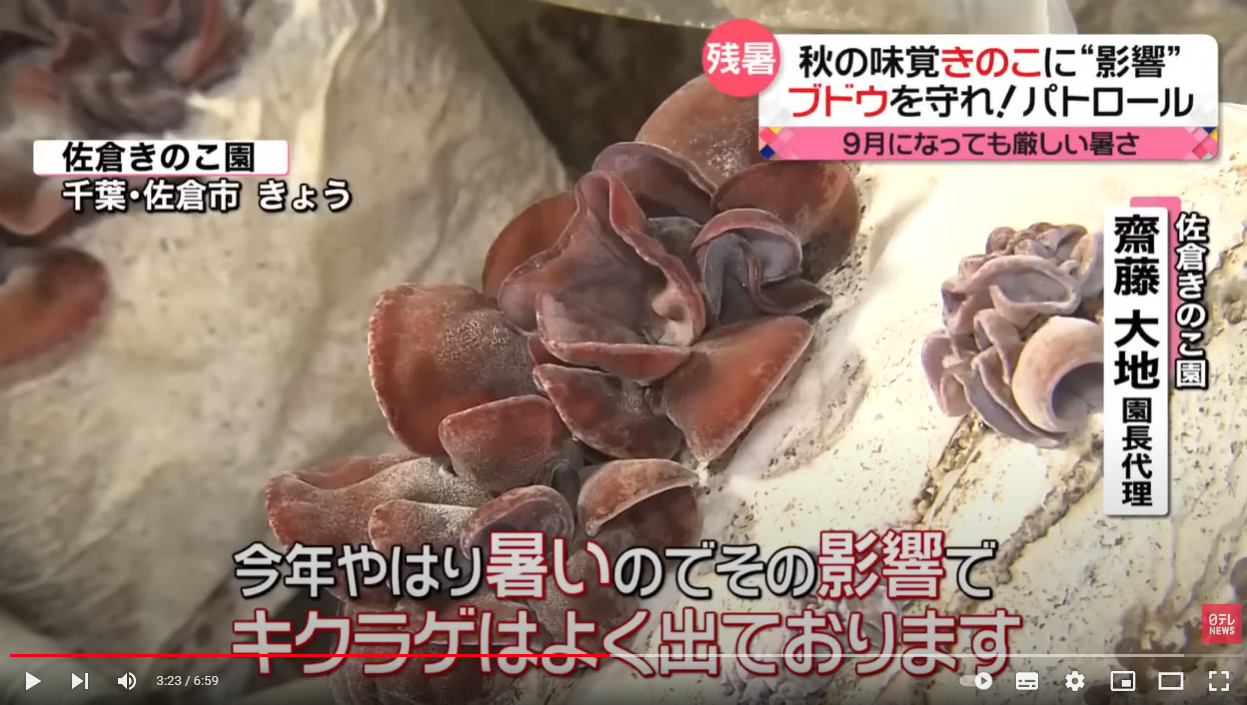 日テレ、news every.で、取材を受けました。