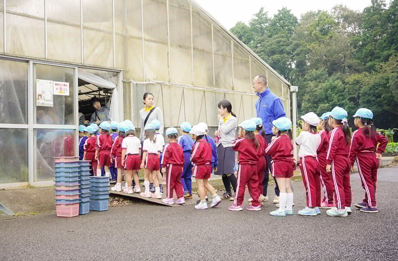 佐倉市くるみ幼稚園の遠足で椎茸狩り
