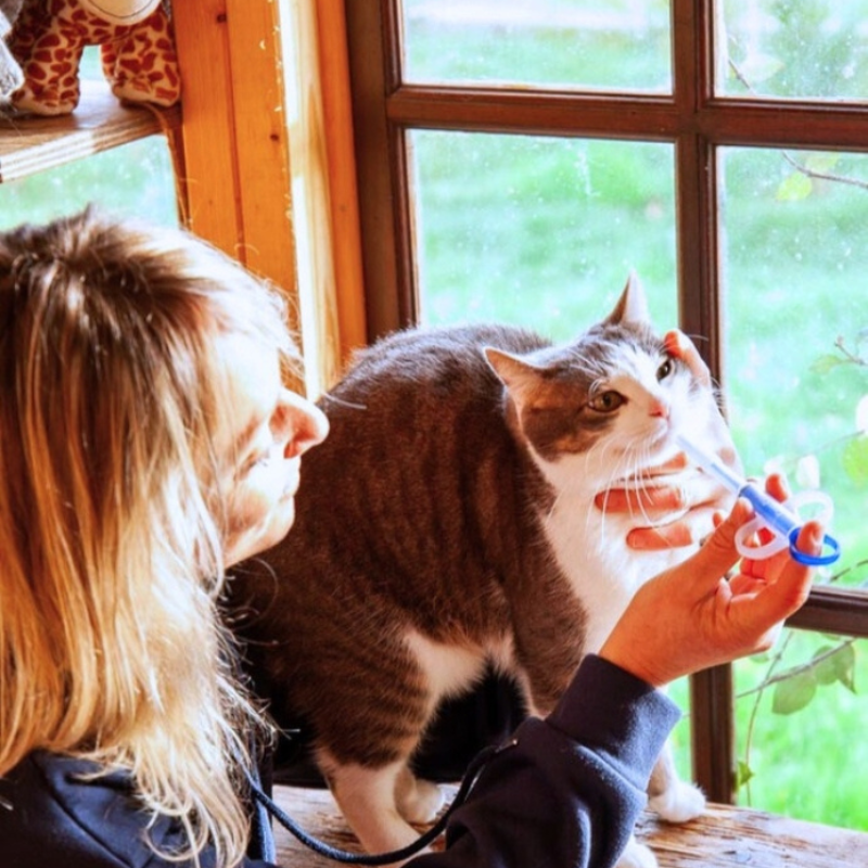 Suivi attentif et soins personnalisés — ici, leur santé est au cœur de toutes nos attentions.