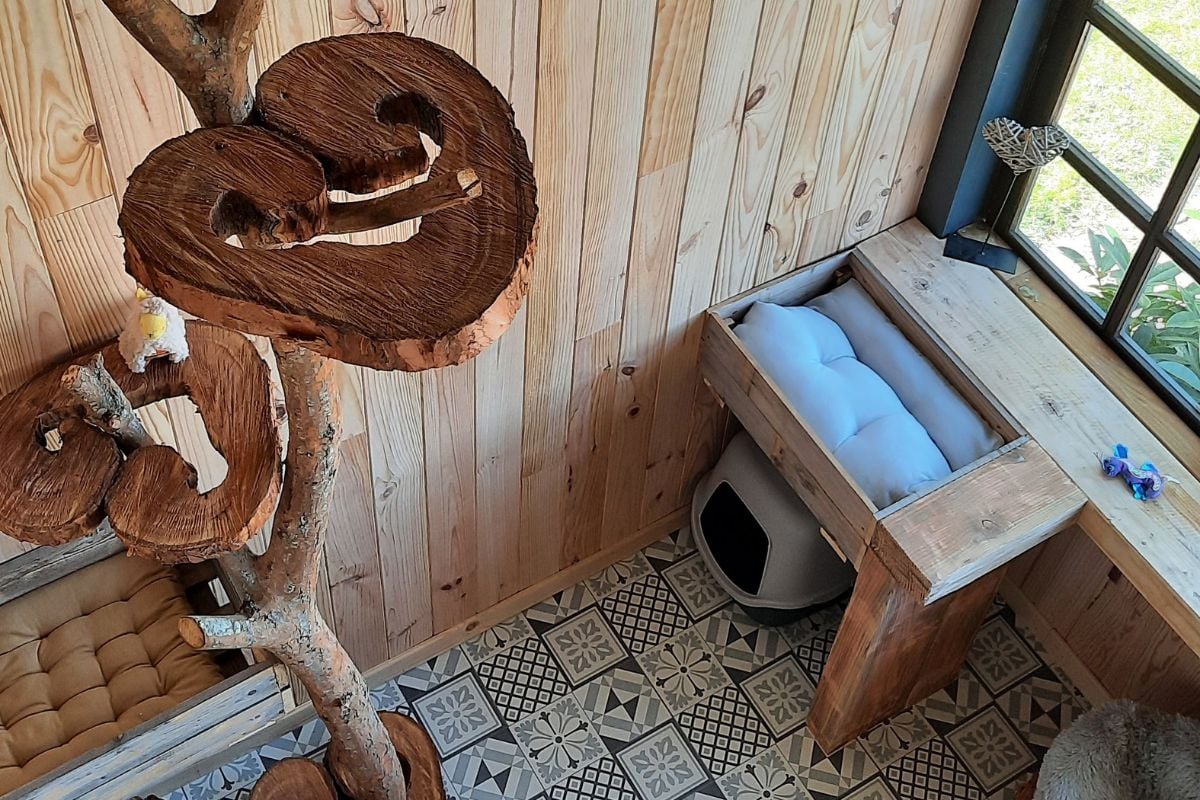 La sécurité et le bien-être de nos pensionnaires sont notre priorité absolue. Offrant un environnement sécurisé et confortable,