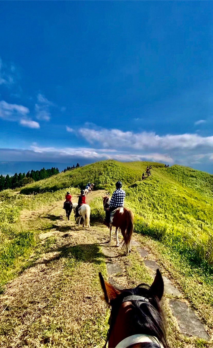 最高の秋晴れ！外乗会最高～！（事前許可地のみ）