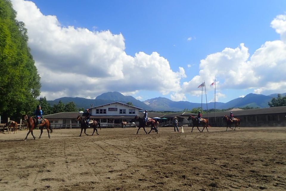 馬場内で乗馬レッスン