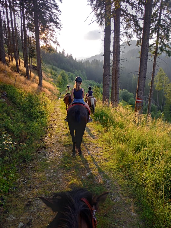 Ausritte auf Huzulenpferde - bei uns möglich