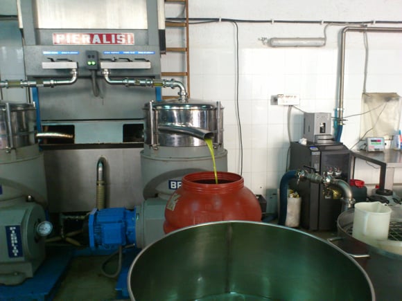 Das gepresste Olivenöl wird in Fässer abgefüllt