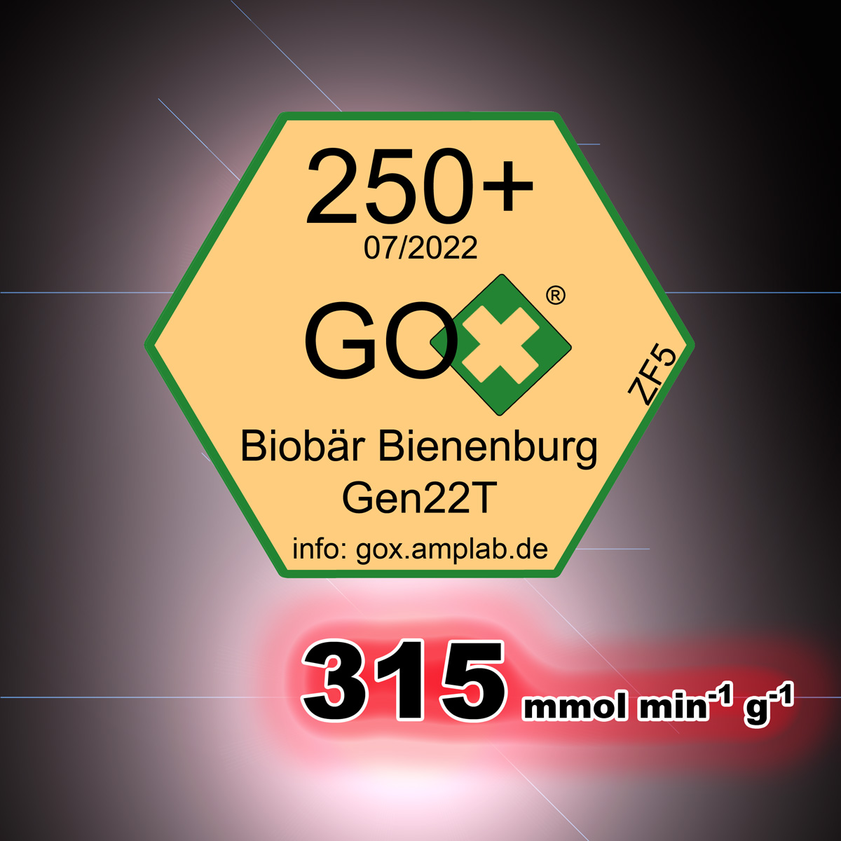 Honigernte 2022 - Der beste Honig