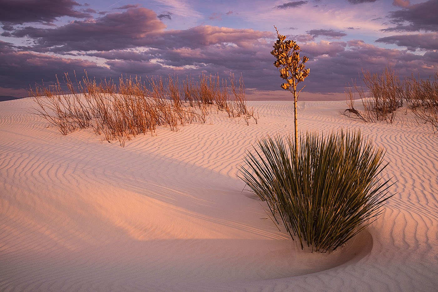 Pictorial Color: "White Sands Scene"  by Chuck Zamites