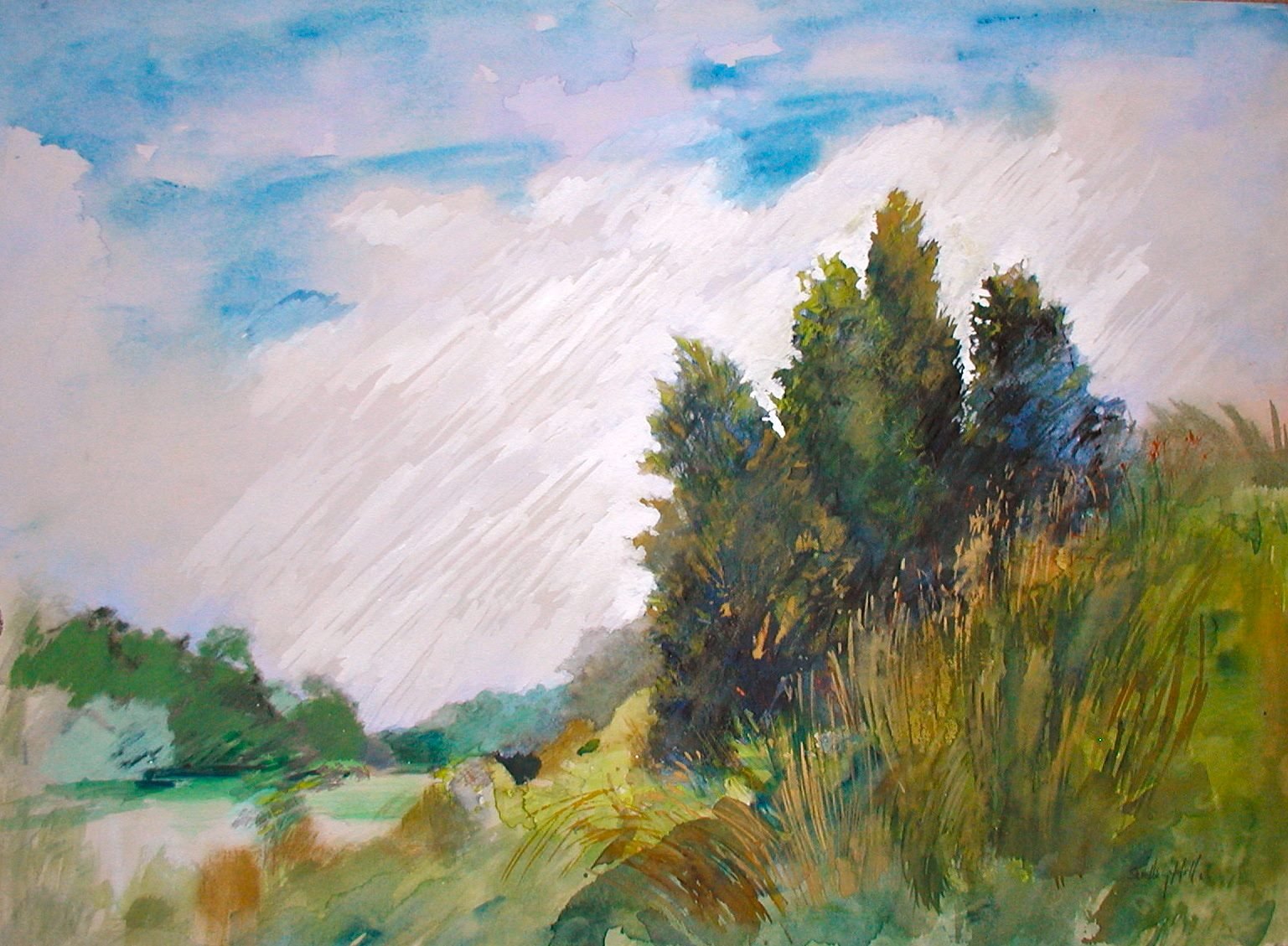 Four Cedars - mixed media on BFK Rives paper - 28" x22'