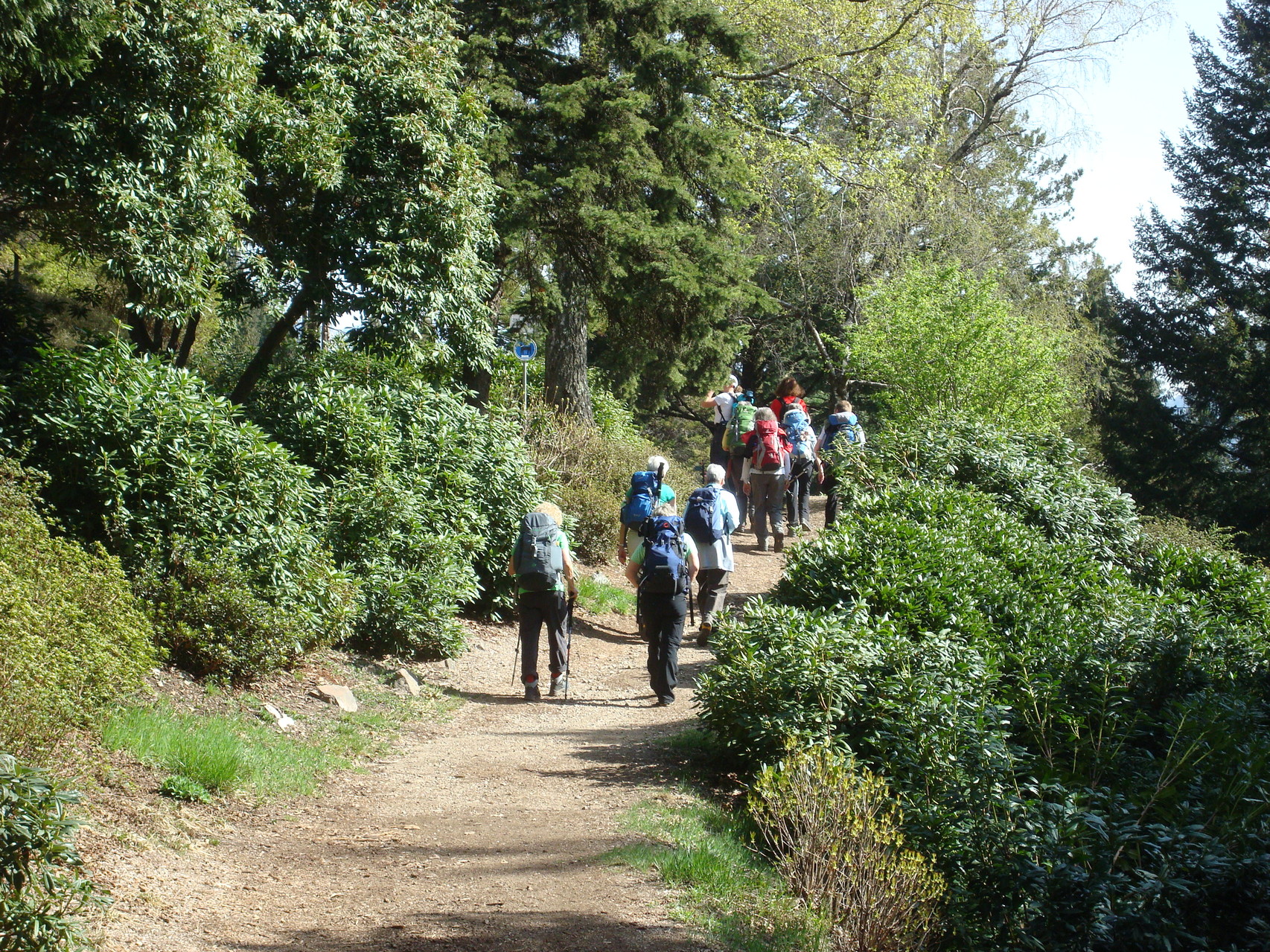 durch den botanischen Garten hindurch