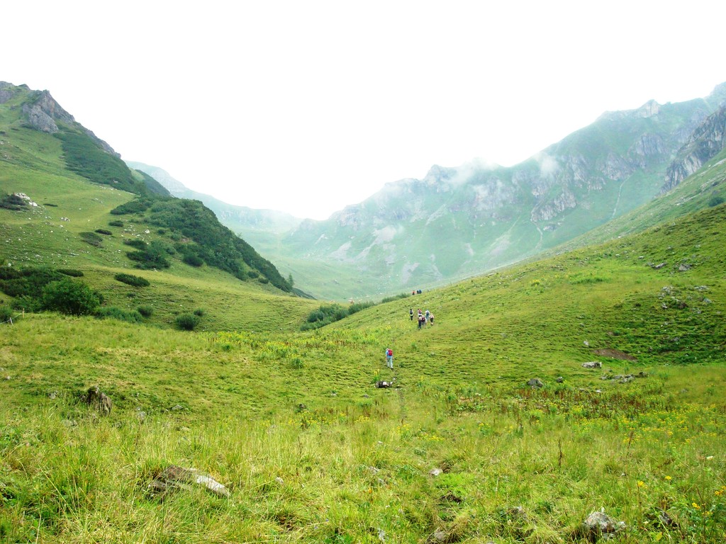 Blick vorwärts, ähh aufwärts