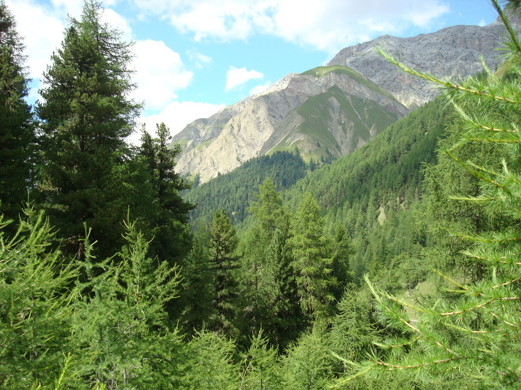 dieses mal auf der andern Talseite