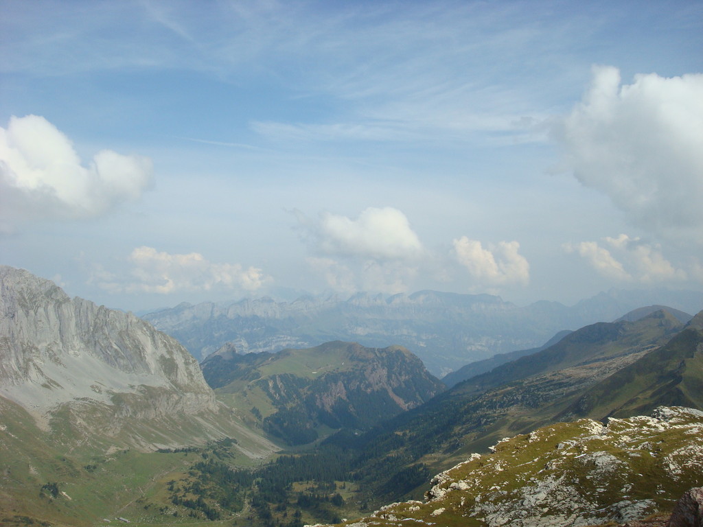 im Hintergrund die Churfirsten