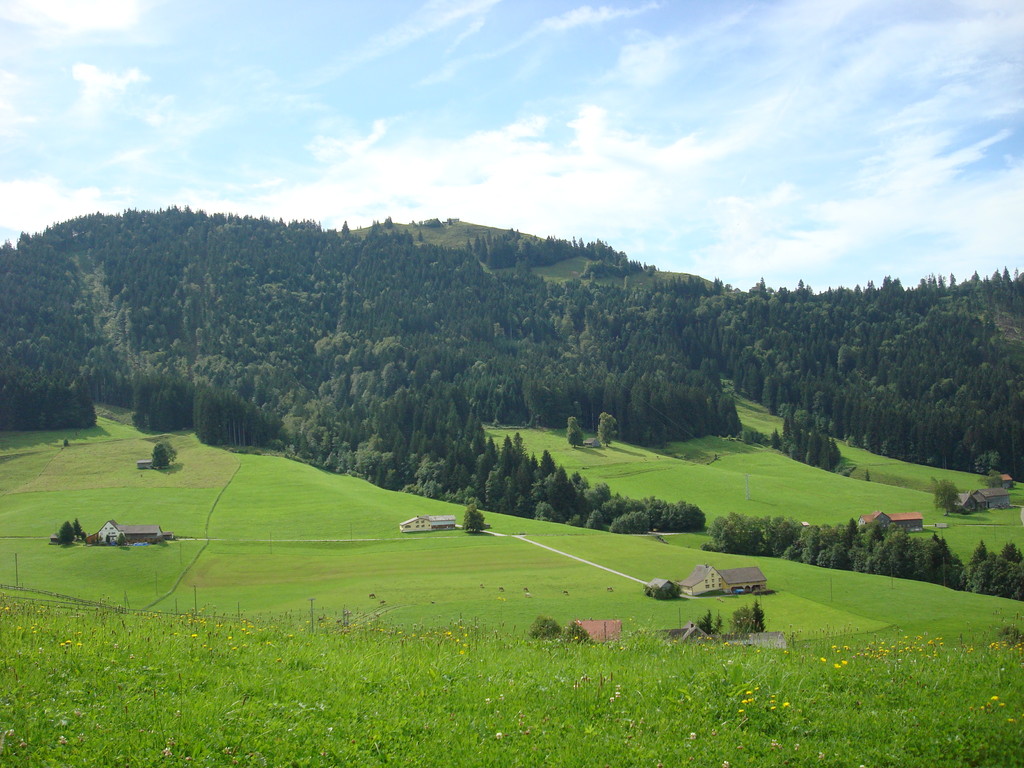 Auf die Höhe wollen wir