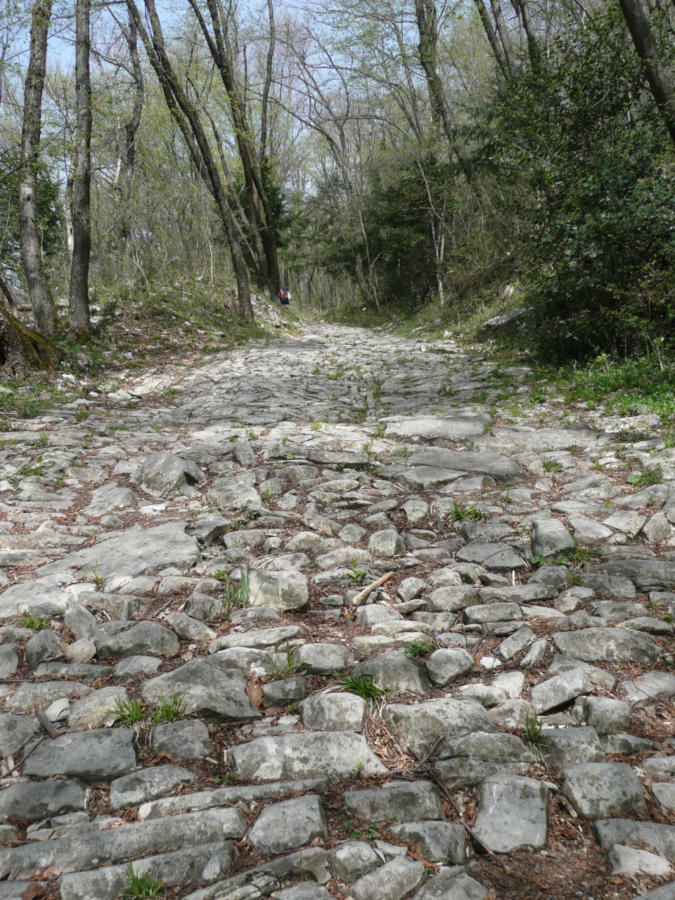 Welch strenge Wegarbeit