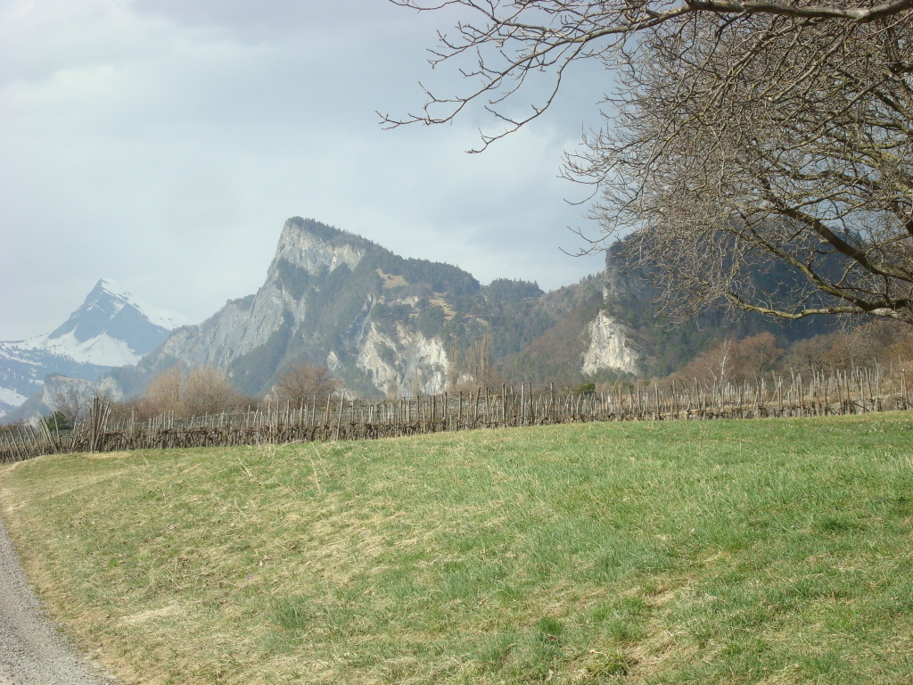 Blick zurück auf die Regitzerspitze