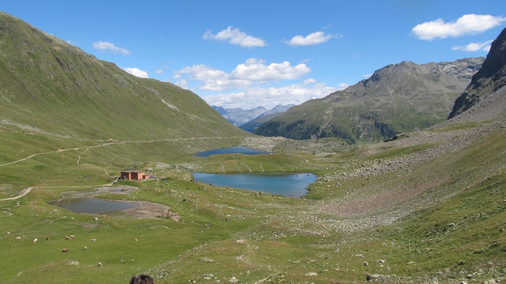 La da Val Viola (Italien)