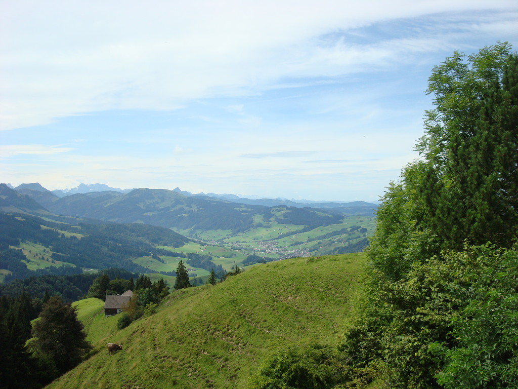 Panorame 4 - Richtung Urnäsch
