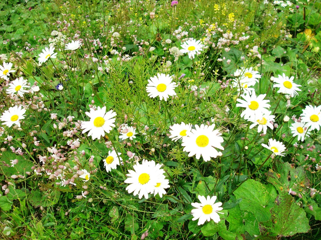 Bis zum nächsten mal