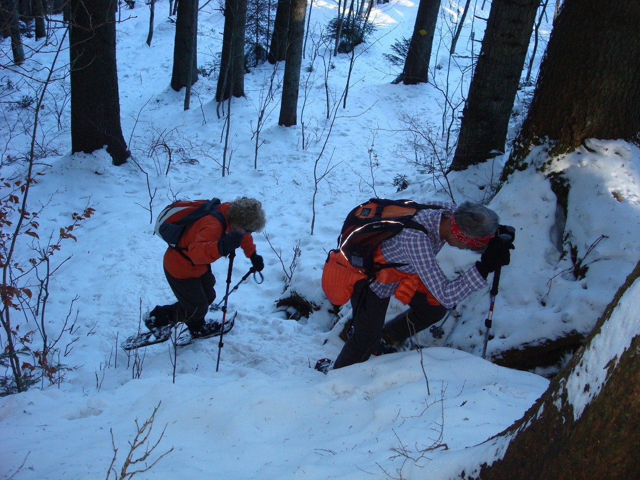 hier wird's doch noch ein wenig streng