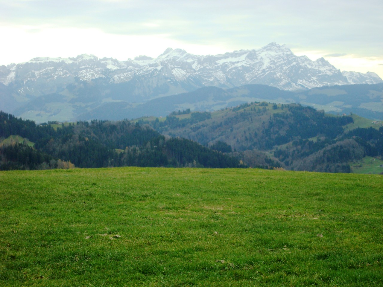 zum Säntis von der Hohen Buche aus