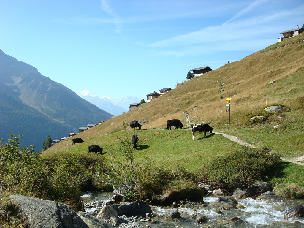 bei Lauchernalp im Lötschental