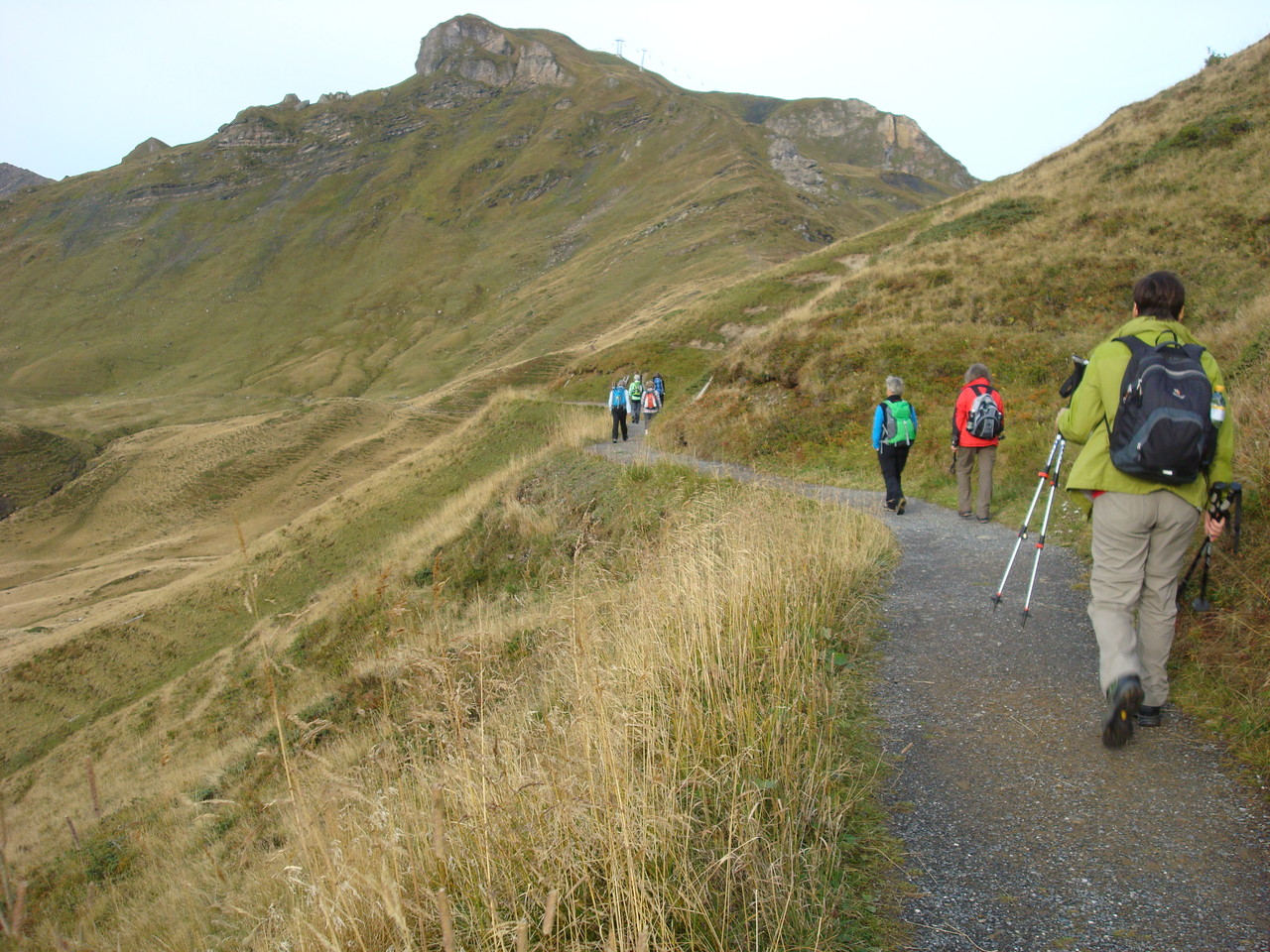 Besinnung ist eingekehrt !