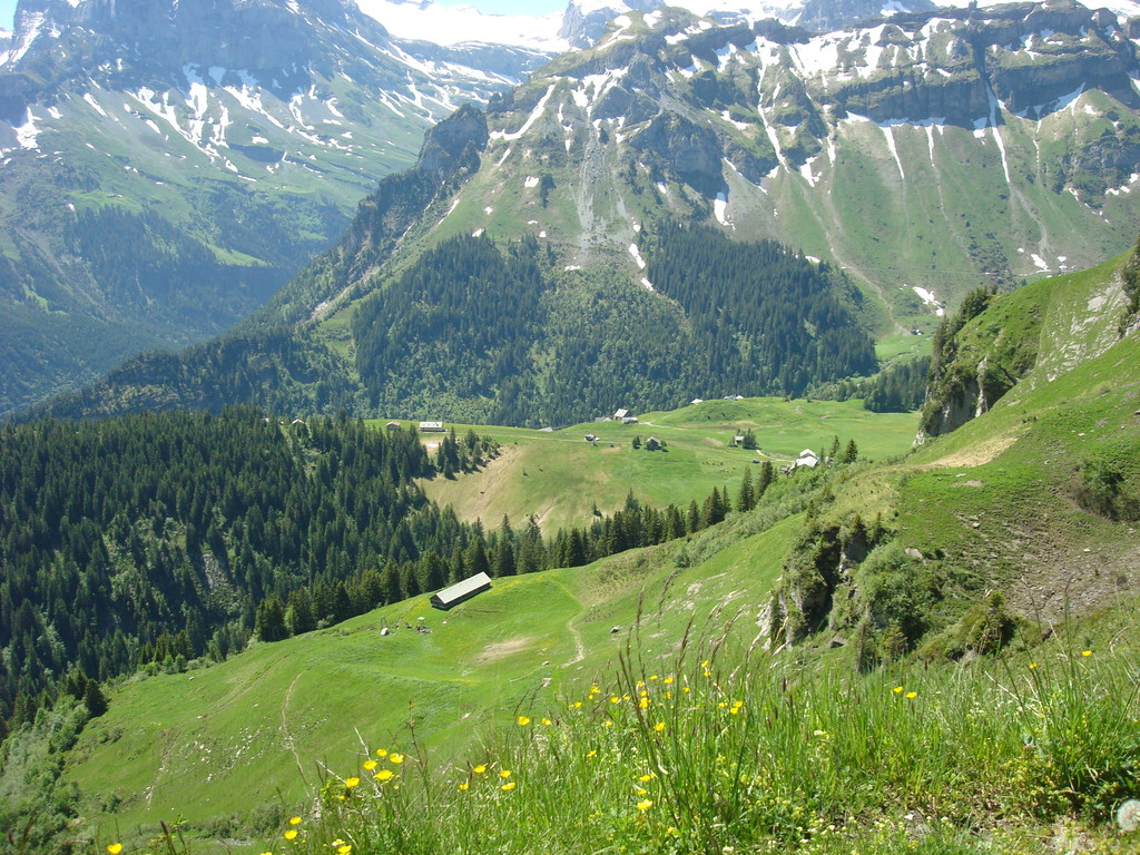 dort unten ist Gitschenen